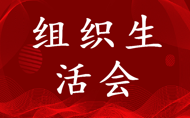 最新党员组织生活会问题清单及整改措施电子版5篇