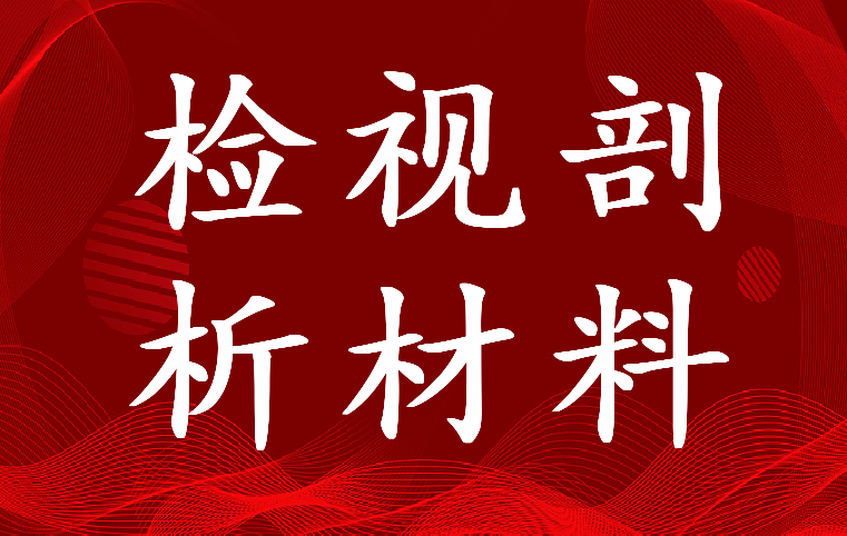 最新四个检视剖析材料(九篇)