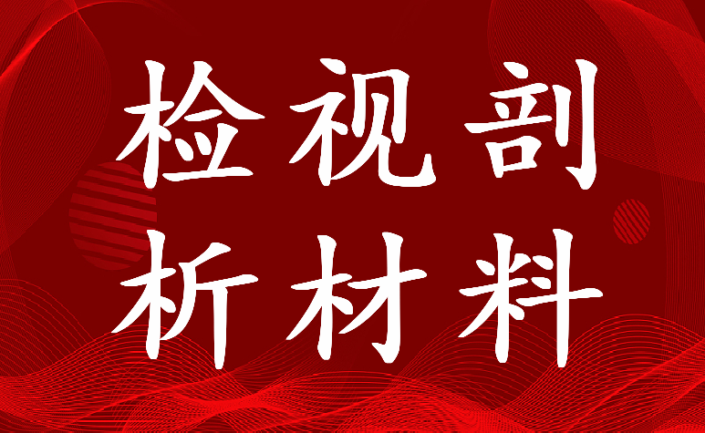 2023年主题教育活动个人检视剖析材料(6篇)