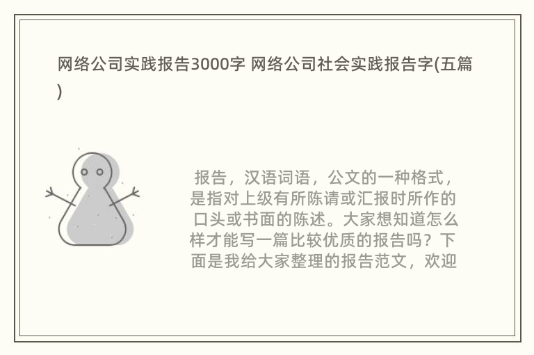 网络公司实践报告3000字 网络公司社会实践报告字(五篇)